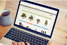 什么样的品牌设计是成功的呢？