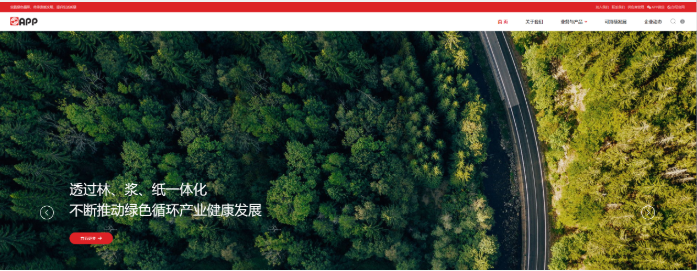 《金光集团》网站建设-买球平台十大
品牌数字化