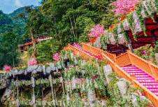 文旅品牌策划设计的秘诀，四个原则让你一目了然
